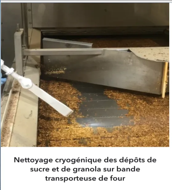 Intervention cryogenique à Lyon 